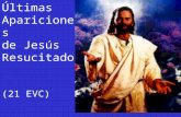 Últimas  Apariciones  de Jesús Resucitado (21 EVC)