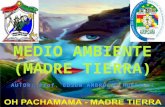 MEDIO AMBIENTE (MADRE TIERRA)