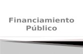 Financiamiento Público
