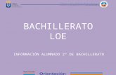 BACHILLERATO LOE
