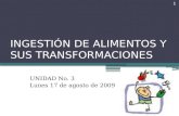 INGESTIÓN DE ALIMENTOS Y SUS TRANSFORMACIONES