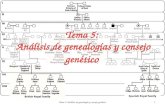 Tema 5:  Análisis  de  genealogías y consejo genético
