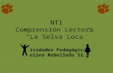NT1  Comprensión Lectora   “La  Selva Loca” Actividades Pedagógicas  Carolina Rebolledo Silva