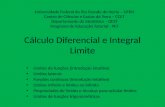 Cálculo Diferencial e Integral Limite