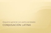 Conjugaci³n Latina