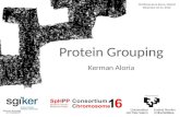 Protein Grouping Kerman Aloria