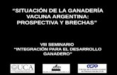 “SITUACIÓN DE LA GANADERÍA VACUNA ARGENTINA: PROSPECTIVA  Y BRECHAS”  VIII SEMINARIO