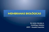 MEMBRANAS BIOLÓGICAS