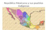 República Mexicana y sus pueblos Indígenas