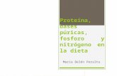 Proteína, bases púricas, fosforo y nitrógeno en la dieta