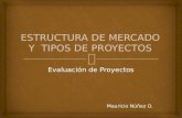 ESTRUCTURA DE MERCADO Y  TIPOS DE PROYECTOS