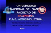 UNIVERSIDAD  NACIONAL DEL SANTA  FACULTAD DE INGENIERIA  E.A.P  AGROINDUSTRIAL