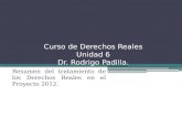 Curso de Derechos Reales Unidad 6 Dr. Rodrigo Padilla.