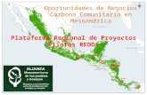 Oportunidades de Negocios Carbono Comunitario en Mesoamérica