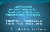 Universidad NacionaldeTucumán Facultad de Medicina Departamento Biomédico