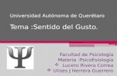 Universidad Autónoma de Querétaro Tema :Sentido del Gusto.