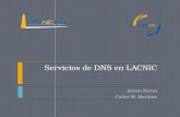 Servicios de DNS en LACNIC