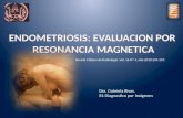 Revista Chilena de Radiología. Vol. 16 Nº 4, año 2010;195-199.