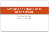 Métodos de estudio de la biodiversidad.