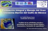 Evaluación Integral y Manejo del Gran Ecosistema Marino del Golfo de México