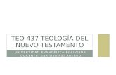 Teo 437 Teología del Nuevo Testamento