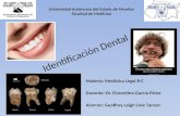 Identificación  Dental