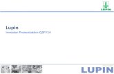Lupin Investor Presentation Q2FY14