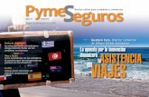 Revista PymeSeguros nº 22