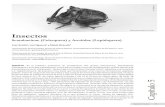 Capítulo 5 Insectos (Coleoptera, Lepidoptera)