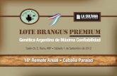 Lote Brangus Premium - La Sultana, Asunción 2012