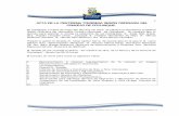 Acta sesion ordinaria N° 130 Municipalidad de Coyhaique