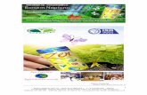Comercial Dossier Zen Republic Energy Drink 100% Natural Certificated