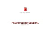 Rp presupuestos2014 cabildodelanzarote