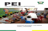 PEI - Colegio Integral Los Andes