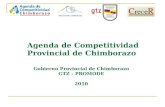 AGENDA DE COMPETITIVIDAD CHIMBORAZO CUMANDÁ