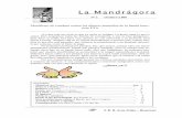 LA MANDRAGORA Nº 2 - AÑO 1  #2