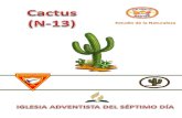 Especialidad de cactus