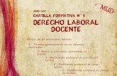 Cartilla Formativa Nº 1 MUD "Derecho Laboral Docente"