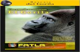 Rescate del Gorila