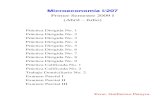 Ejercicios y Problemas Microeconomia I, UNMSM/FCE/207