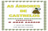 INVESTIGAMOS ARBORES DE CASTRELOS
