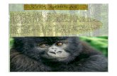 S.O.S. Gorilas