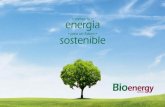 Bioenergy Barbero Dossier 2014