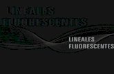 lineales fluorescentes