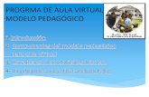 Modelo pedagogico para aula virtual