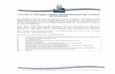 Acta sesion ordinaria N° 101 Municipalidad de Coyhaique