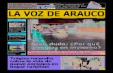 Edición Julio 2011 La Voz de Arauco