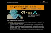 INFORMACIO GRIP A. Primera.082009