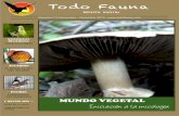 Revista Todo Fauna nº9, noviembre-diciembre 2010