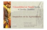 Vulnerabilidad de México frente al Cambio Climático. Impactos en la Agricultura